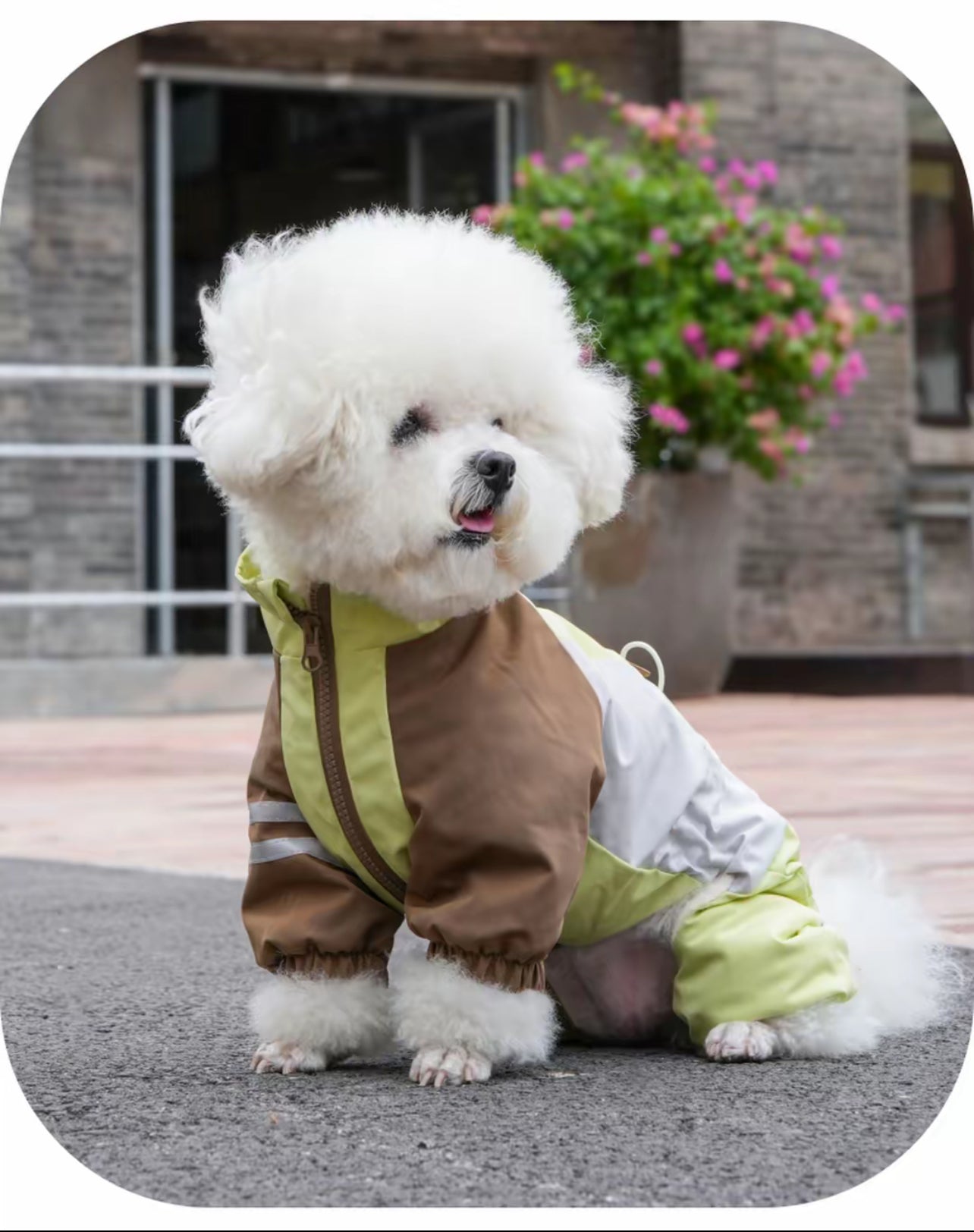 Dog Raincoat, Waterproof Windproof Rain Jacket, for Small Medium Large Extra Large Dogs, Reflective Breathable Full-Body Coverage Dry Suit