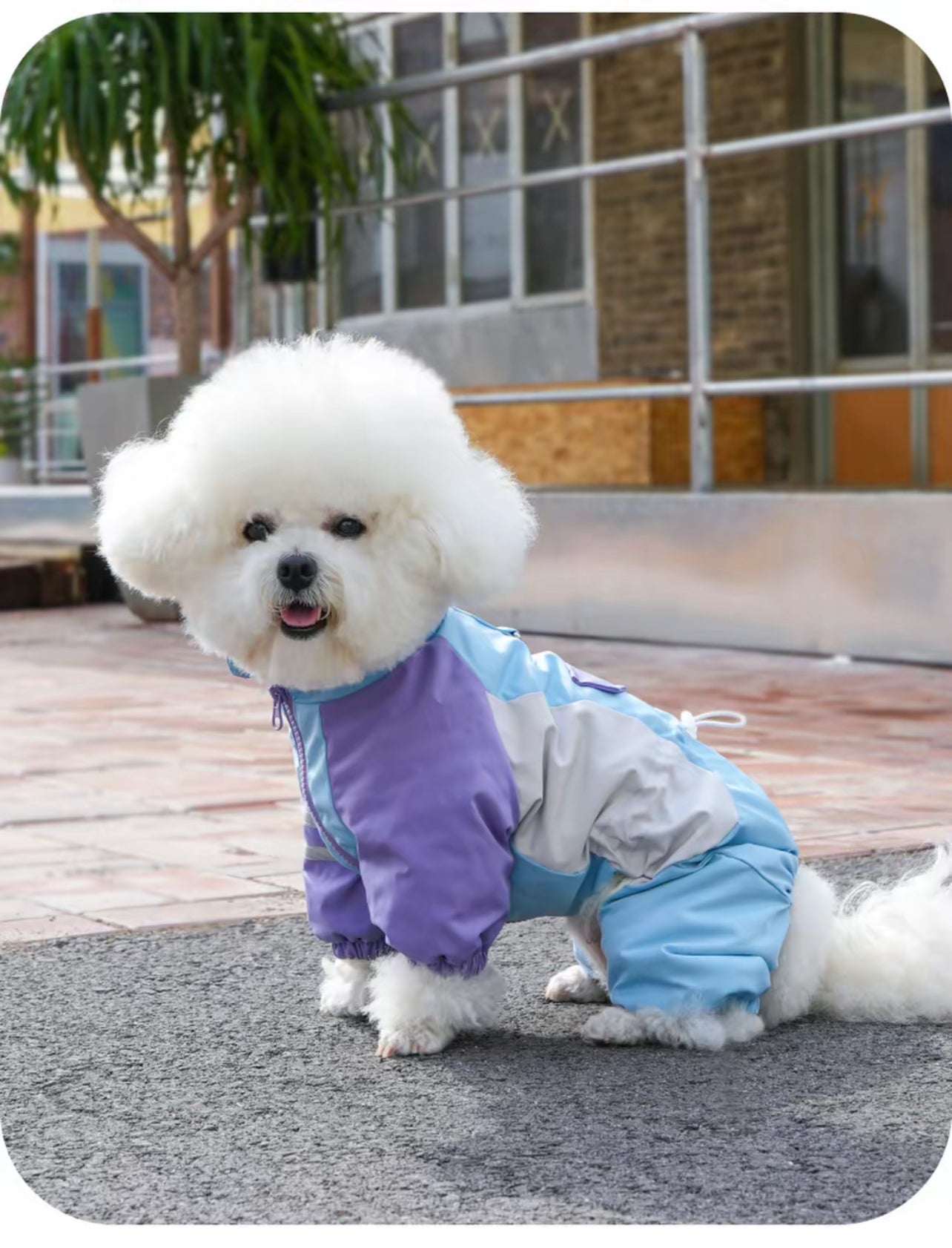 Dog Raincoat, Waterproof Windproof Rain Jacket, for Small Medium Large Extra Large Dogs, Reflective Breathable Full-Body Coverage Dry Suit