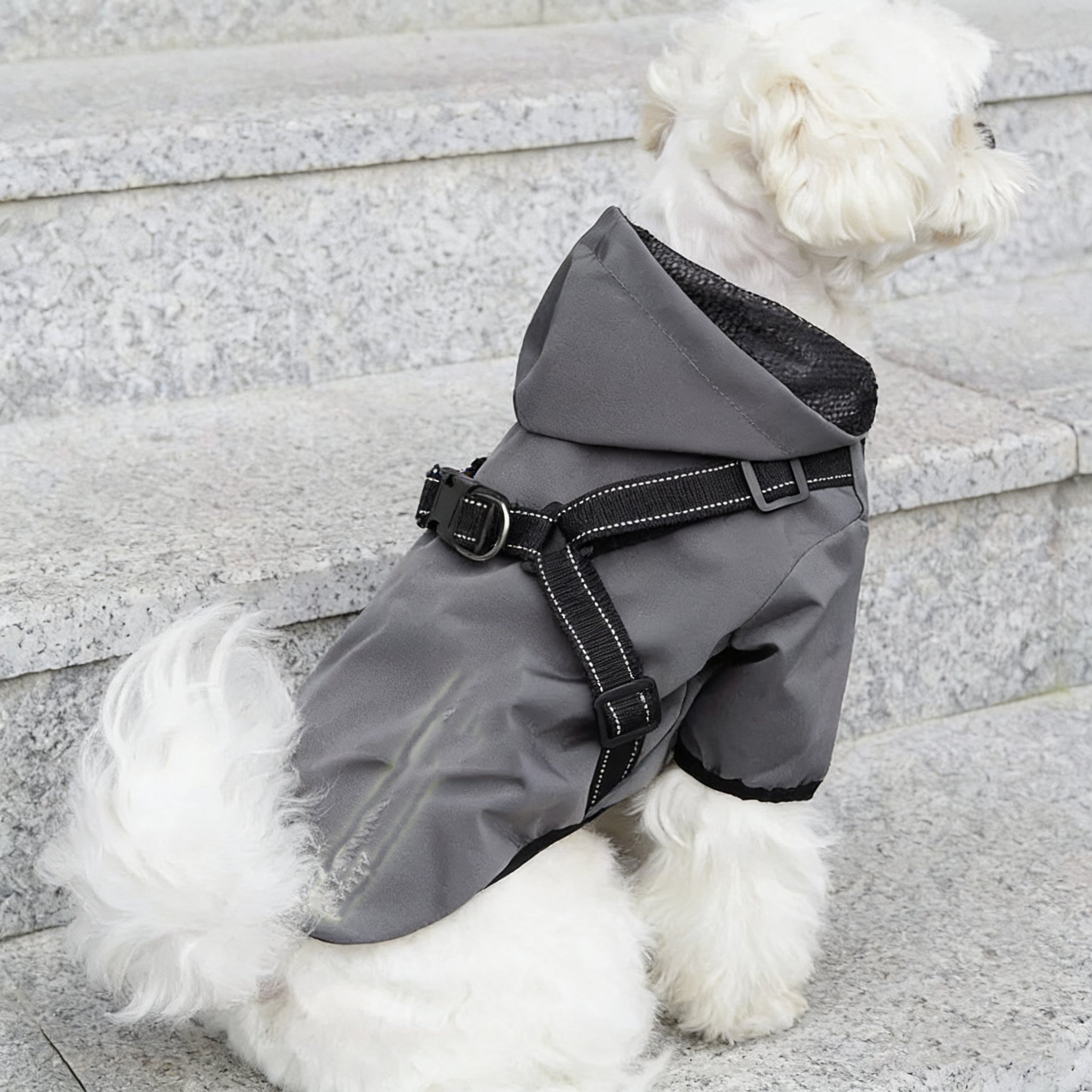 Dog Raincoat, Waterproof Windproof Rain Jacket, for Small Medium Large Extra Large Dogs, Reflective Breathable Full-Body Coverage Dry Suit