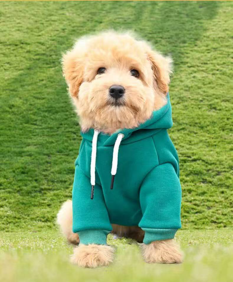 Dog Hoodie – Premium Dog Sweater for Small, Medium, and Large Dogs | Warm Outfits for French Bulldogs, Pitbull, Puppy, Winter Jacket